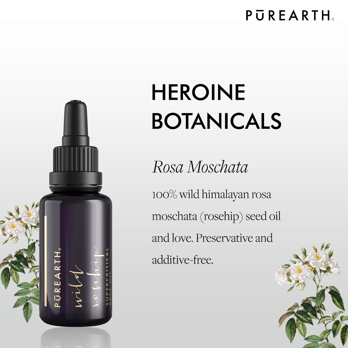 Wild Rosehip Supercritical Oil