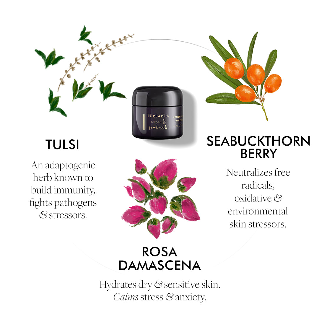 Gulabo Rose & Seabuck Replenishing Face Cream