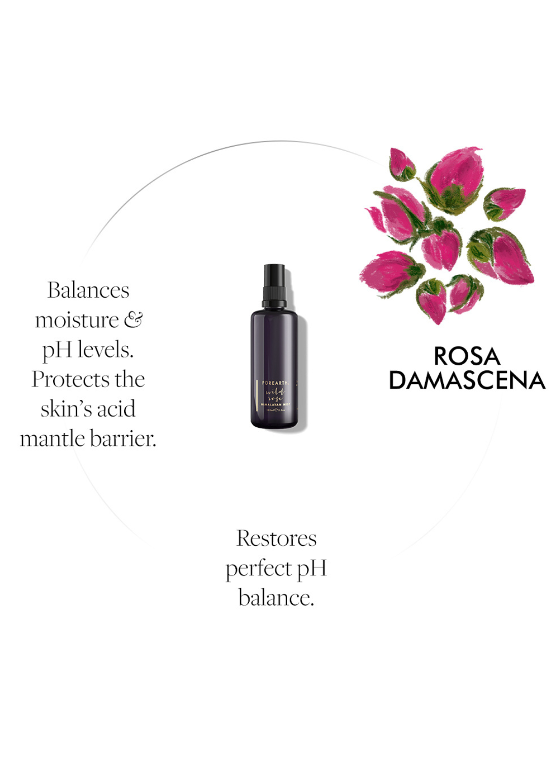Wild Rose Himalayan Mist